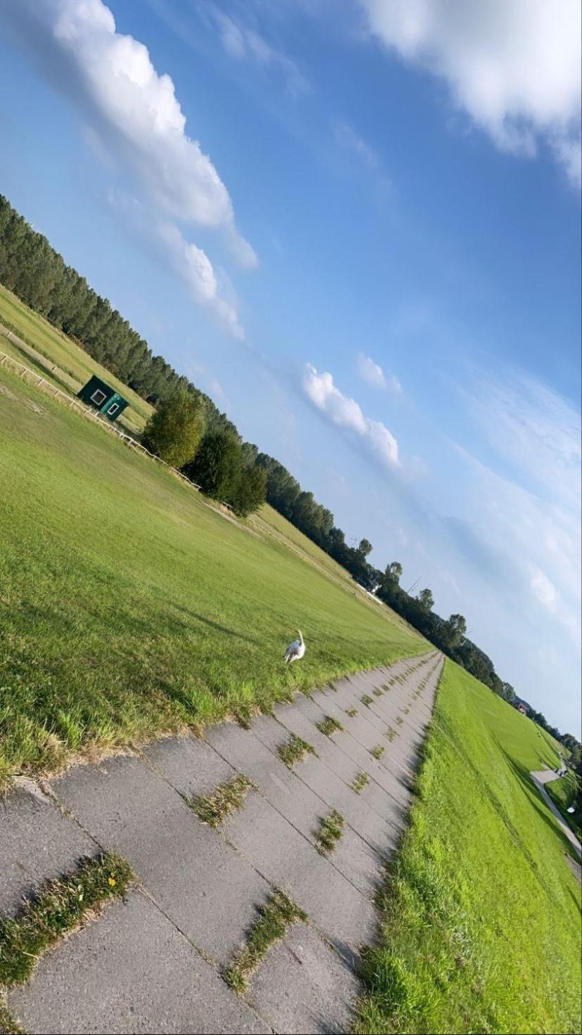 Strandhaus Nina - Ferienhaus Hooksiel Luaran gambar